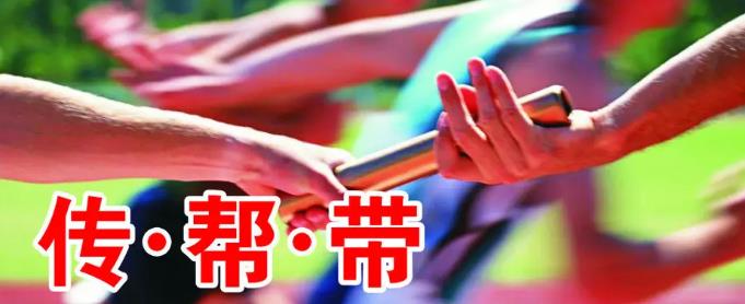 implementovať systém riadenia mentoringu.